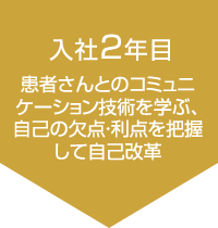 入社2年目