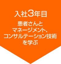 入社3年目